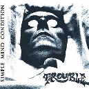 Trouble - Simple Mind Condition