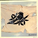 Bayside - The Walking Wounded