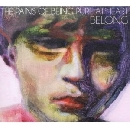 The Pains Of Being Pure At Heart - Belong