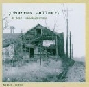 Johannes Wallmark & The Wildflowers - Akron Oh