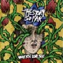 The Story So Far - What You Don't See