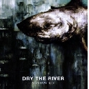 Dry the River - Shallow Bed