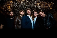 Deer Tick