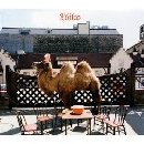 Wilco - Wilco (the album)