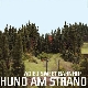 Hund Am Strand - Adieu Sweet Bahnhof [Cd]